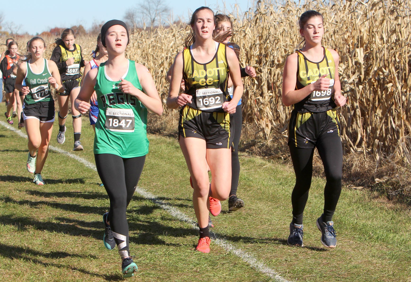 Division 3 Cross Country Sectionals in Boyceville 10-26-19